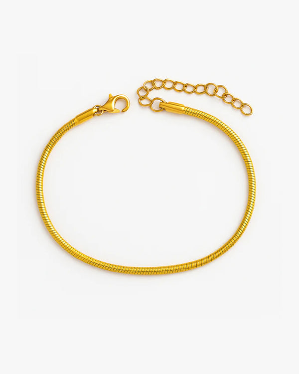 Simple Snake Bone Chain Bracelet